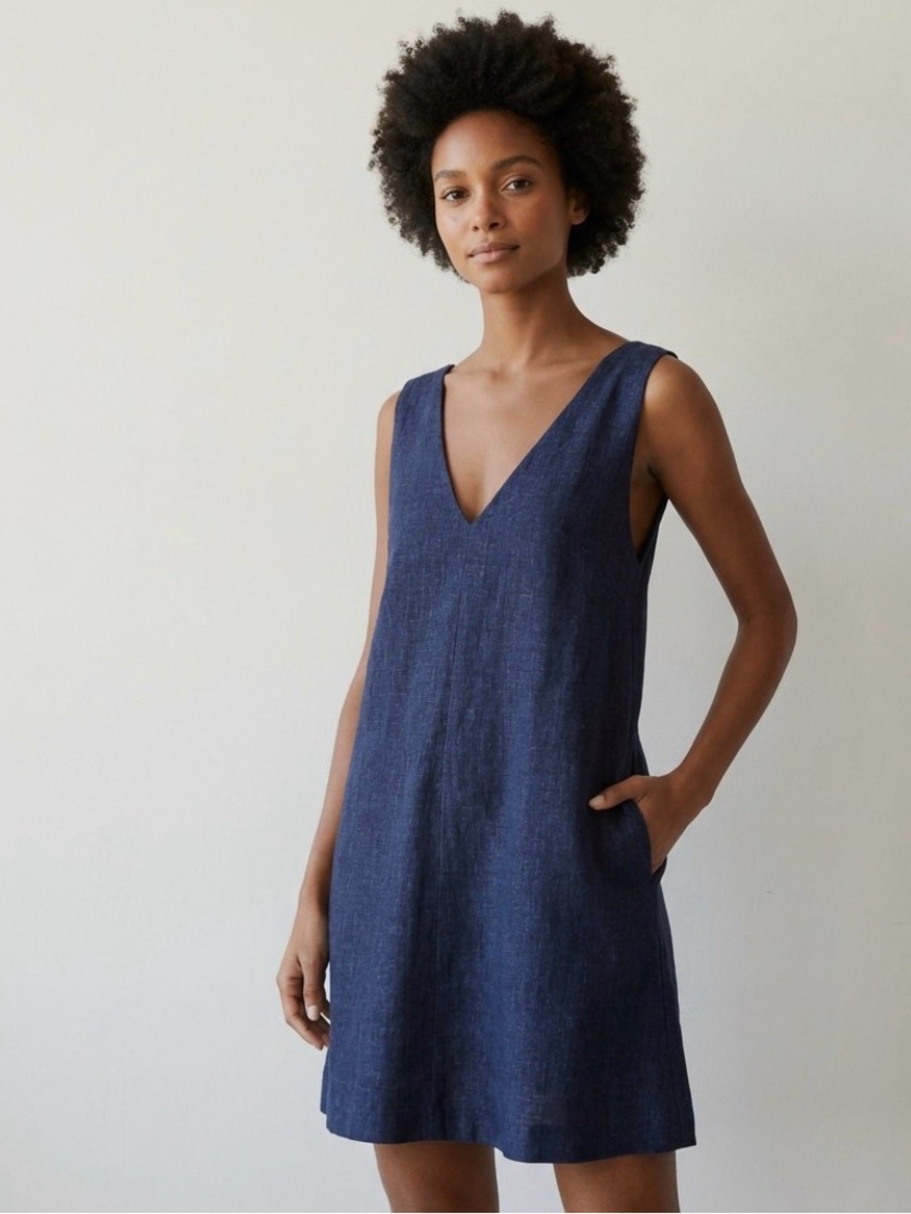 Theory. Linen - Denim. Petite